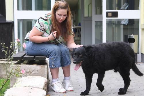 Das Herrchen von Max hat den Gang ins Tierheim nicht übers Herz gebracht, Schwiegertochter Daniela brachte den Schäferhund-Mischling in die Stadenstraße.