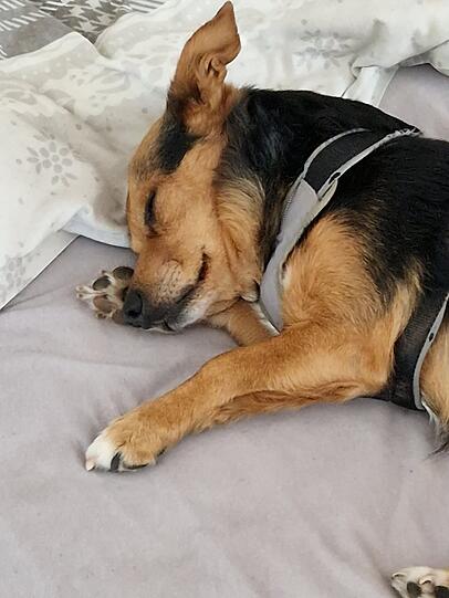 Charlie