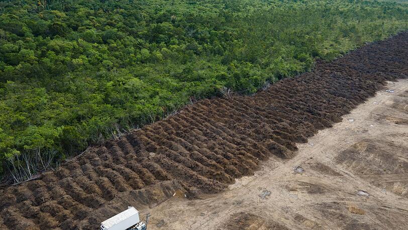 Im brasilianischen Amazonasgebiet sind seit 1985 rund 52 Millionen Hektar Natur verloren gegangen – eine Fläche größer als Spanien. (Archivbild)
