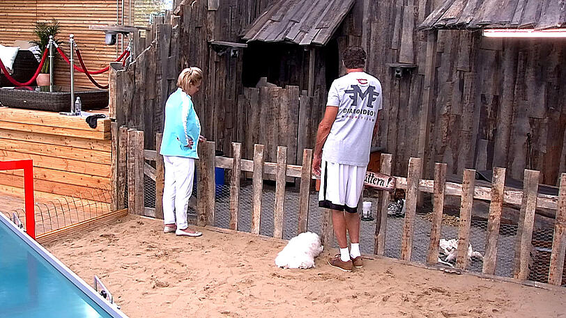 Alle Bilder aus dem Container: Promi-Big-Brother 2013