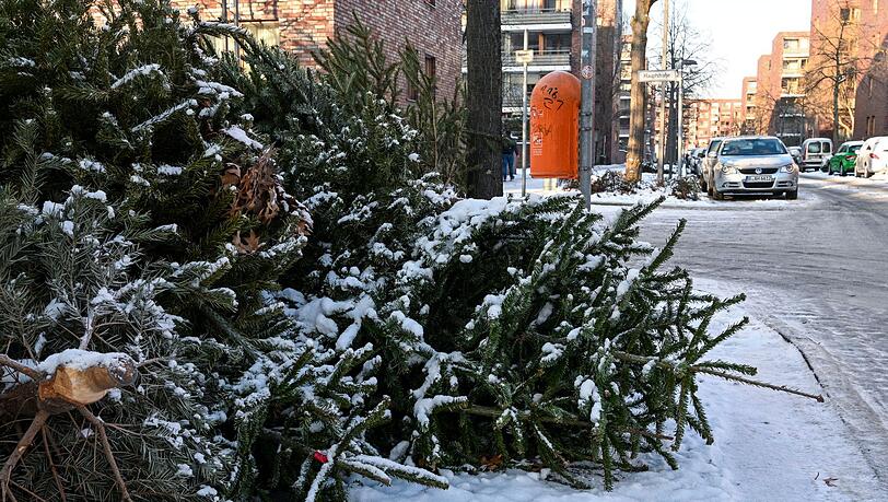 Die Christb&auml;ume waren jeweils mit vier Euro als Spende f&uuml;r die Pfadfinder best&uuml;ckt. (Symbolbild)