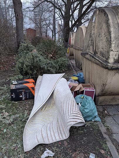 Neben den Containern im Gr&uuml;nwaldpark wurden Christb&auml;ume, Kartons und ein Teppich achtlos abgelegt.