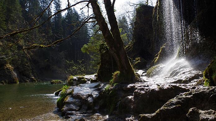 Die Schleierfälle in der Ammerschlucht. Auch an der unteren Ammer sind im Rahmen des Projektes neue Gewässerstrukturen für Laubfrosch, Wildwasserläufer und Sumpfheidelibellen entstanden, berichten die Projektkoordinatoren.
