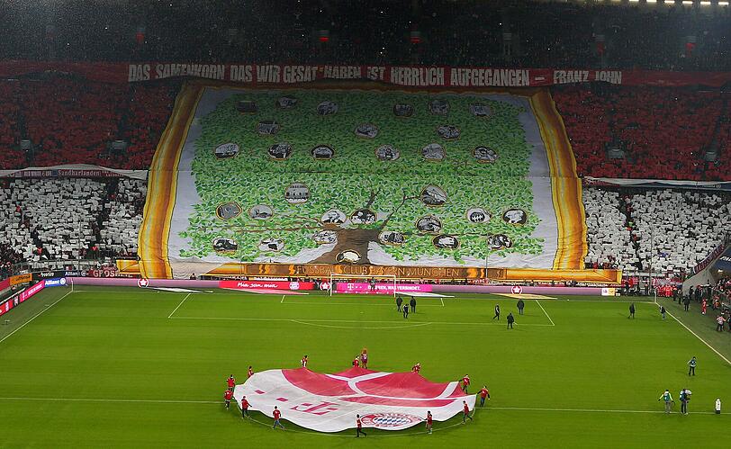 Die Choreo zum 115. Jubiläum des FC Bayern vor dem Anpfiff gegen den 1. FC Köln.