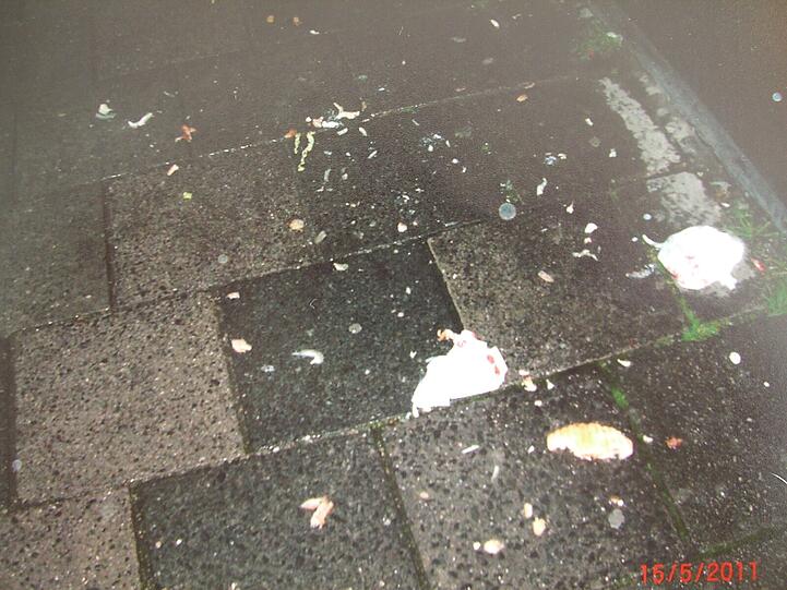 So wild geht's rund um die Schwanthalerstraße 1 an der Feier-Meile zu: Diese Bilder haben Anwohner geschossen und der AZ zur Verfügung gestellt
