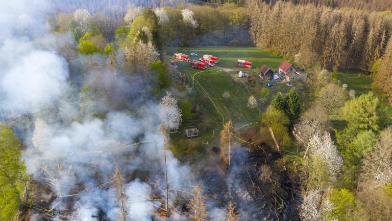 Rauch steigt aus einem brennenden Wald auf. Foto: -/Feuerwehr Bergisch Gladbach/dpa/Symbolbild