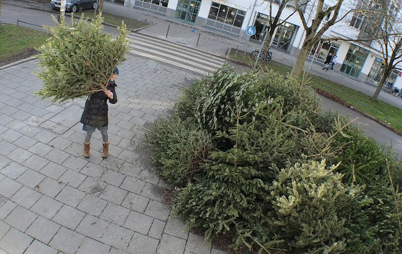 In München gibt es  neben den Wertstoffhöfen zahlreiche Sammelstellen, an denen Sie ihren Christbaum entsorgen können.