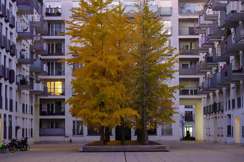 Der Herbst zeigt sich auch in den Münchner Innenhöfen.