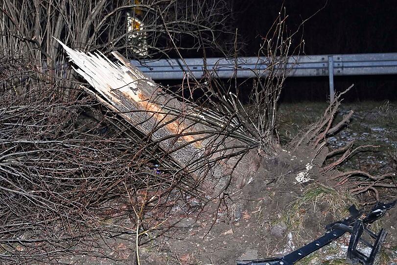 Einer der beiden B&auml;ume wurde bei dem Unfall entwurzelt.