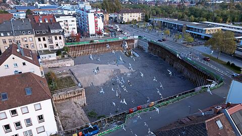 Das "Landauer Loch": Ehret+Klein wollte auf dem Gelände in der Pfalz längst ein neues Quartier bauen.