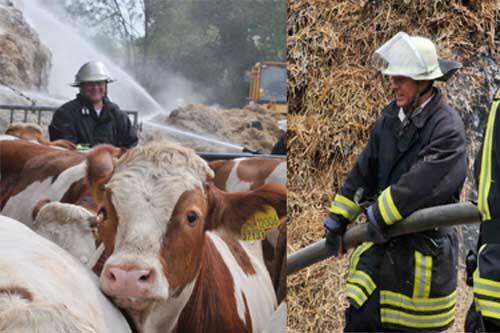 Feuer im Stall