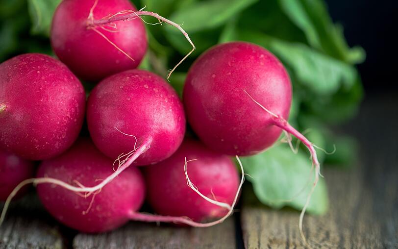 Die Mini-Rettiche schmecken einfach toll zur Brotzeit. Und das Gute dabei: Sie können ordentlich zuschlagen, denn 100 Gramm Radieschen enthalten gerade einmal 16 Kalorien. Obendrein wirken sie desinfizierend und sättigend. Die Mini-Rettiche schmecken einfach toll zur Brotzeit. Und das Gute dabei: Sie können ordentlich zuschlagen, denn 100 Gramm Radieschen enthalten gerade einmal 16 Kalorien. Obendrein wirken sie desinfizierend und sättigend.