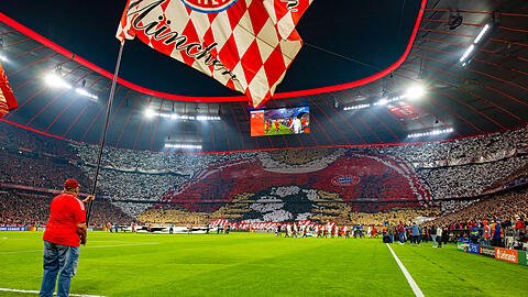 15.04.2026, Fussball UEFA Championsleague 2025/2026: Viertelfinale R&uuml;ckspiel, FC Bayern M&uuml;nchen - Real Madrid, in der Allianz-Arena M&uuml;nchen, Fanchoreografie der S&uuml;dkurve. Alles in unserer Hand. Die Spieler laufen auf den Platz. *** 15 04 2026, Football UEFA Champions League 2025 2026 quarter-final second leg, FC Bayern Munich Real Madrid, in the Allianz Arena Munich, fan choreography of the south curve Everything in our hands The players run onto the pitch