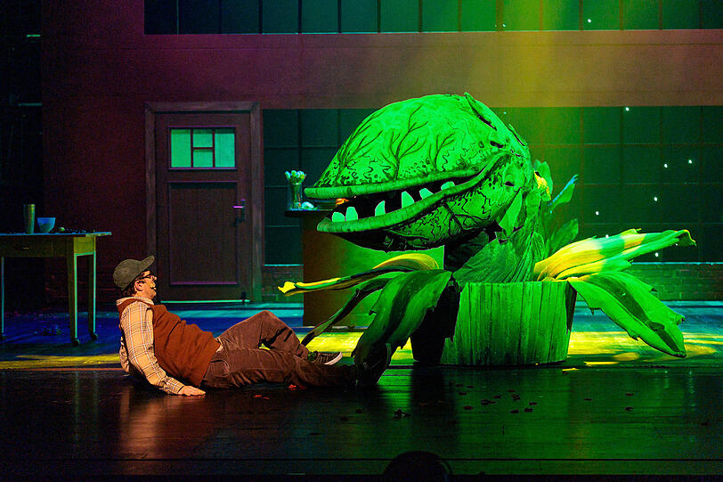 Kommen Sie mit uns in das au&szlig;ergew&ouml;hnliche Gesch&auml;ft von Seymour &ndash; in der Vorstellung "Der kleine Horrorladen" &ndash; und entdecken Sie seine d&uuml;stere Entdeckung.