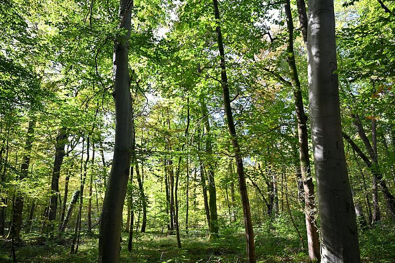Immer einen Spaziergang wert: der Schlosspark.