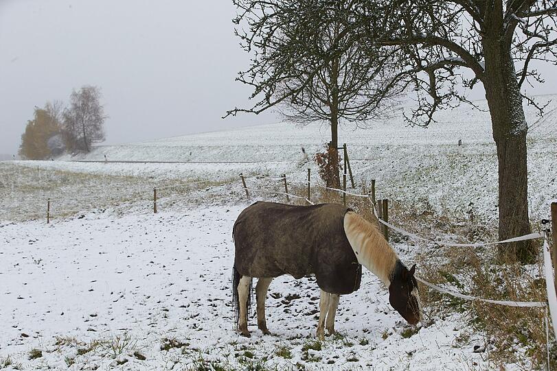 Der erste Schnee ist gefallen und verhüllt alles in ein sanftes Weiß. Aber Achtung Autofahrer: Die Straßen sind glatt.