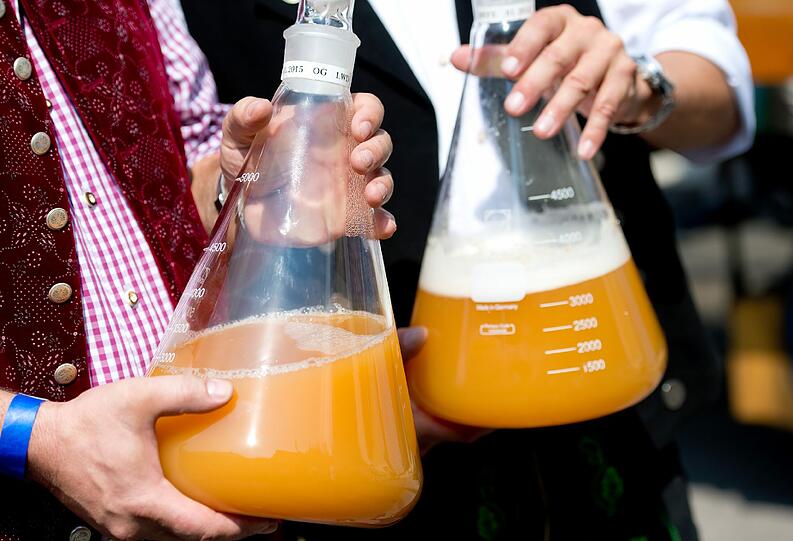 Paulaner zieht um. Die Bilder vom traditionellen Umzug am Freitag.
