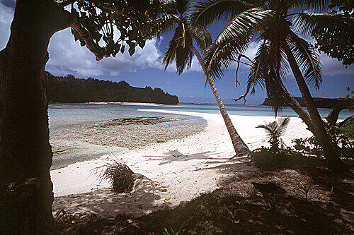 Ein Traumstrand auf den Samoa-Inseln (Archivbild)