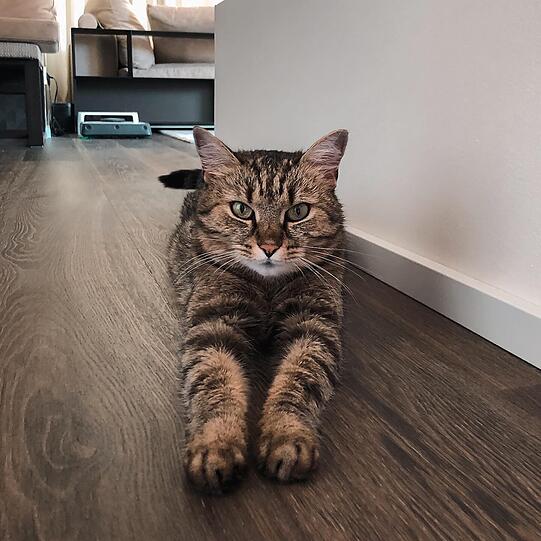 Kira
