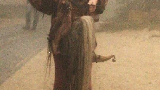 Statt grauer Haare blonde Locken unter der Narrenkappe: der junge Wandelbar. Statt grauer Haare blonde Locken unter der Narrenkappe: der junge Wandelbar.