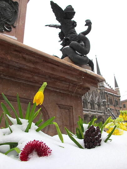 Schauplatz Marienplatz.