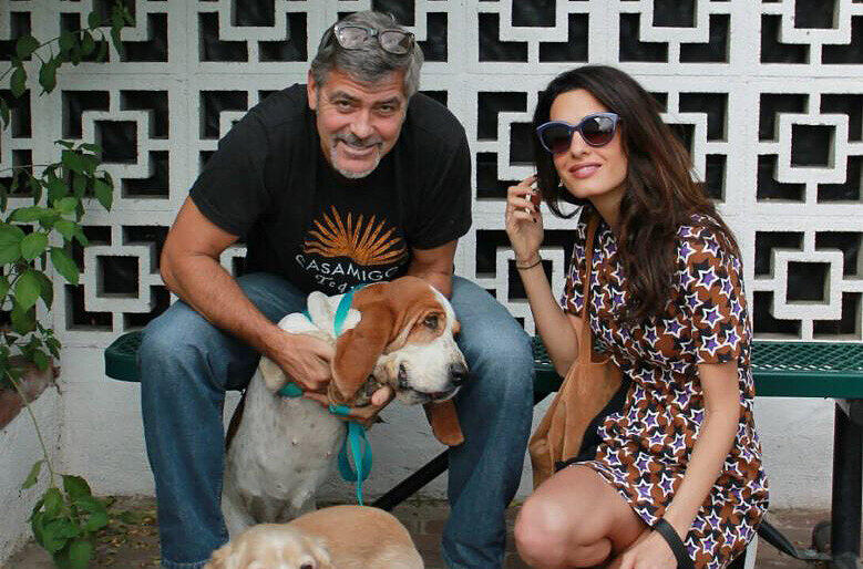George Clooney und seine Frau Amal haben Mollie aus einem Tierheim gerettet.