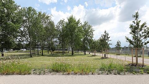 Der neue Park in Riem mit vielen Pappeln.