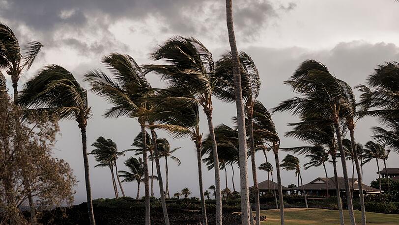 Der Sturm "Lala" hat sich unmittelbar vor Hawaii zu einem Hurrikan verstärkt und sorgt für Überschwemmungen, Stromausfälle und Straßensperren. Der Sturm "Lala" hat sich unmittelbar vor Hawaii zu einem Hurrikan verstärkt und sorgt für Überschwemmungen, Stromausfälle und Straßensperren.