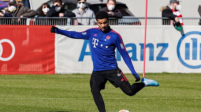 Malik Tillman vom FC Bayern wechselt leihweise zur PSV Eindhoven.