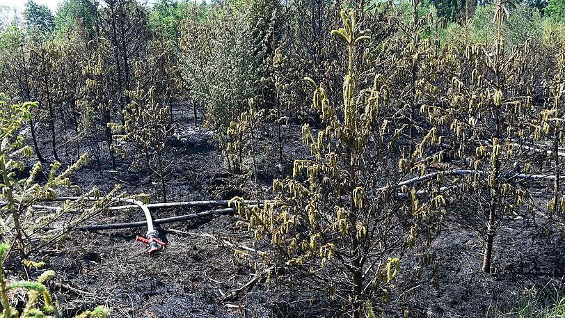 Unter extremen Bedingungen kämpfte sich die Feuerwehr zu den Flammen vor.