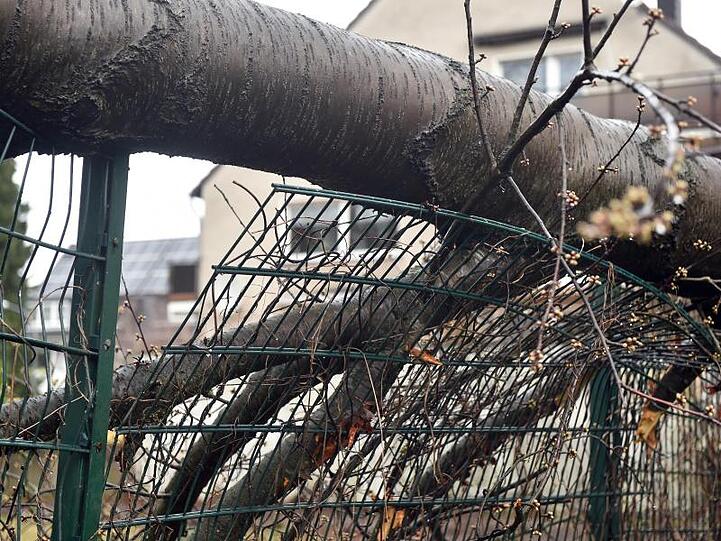 Sturmtief "Dragi" hat in einigen Regionen Nordrhein-Westfalens große Schäden verursacht, die Feuerwehr musste zu Hunderten Einsätzen ausrücken.