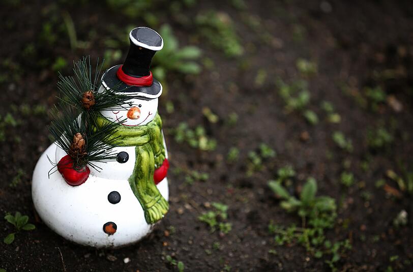 Die dominierenden Farben im Dezember sind eindeutig grün und braun. Daran wird sich wohl bis Weihnachten auch nicht mehr viel tun.