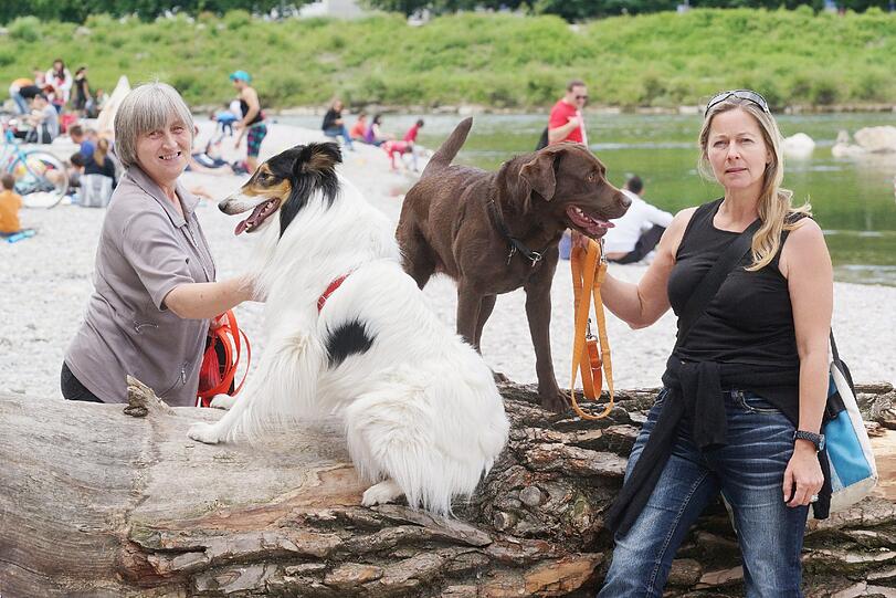 Merh Bilder vom Zamperl-Casting am Flaucher.