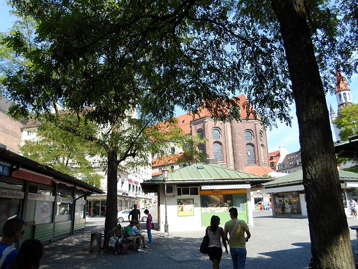 Wegen massiven Blattlaus-Befalls hat den Akazien am Viktualienmarkt bald das letzte Stündlein geschlagen.