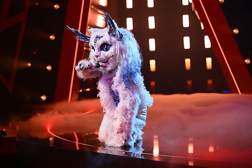 Yeti Cat eröffnete das Finale mit "Let It Go" aus "Die Eiskönigin". Verona Pooth glaubte bis zuletzt, dass es sich um Patricia Kelly handelte. Yeti Cat eröffnete das Finale mit "Let It Go" aus "Die Eiskönigin". Verona Pooth glaubte bis zuletzt, dass es sich um Patricia Kelly handelte.