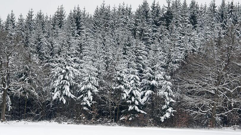 Im Bayerischen Wald liegen zurzeit bis zu eineinhalb Meter Schnee.