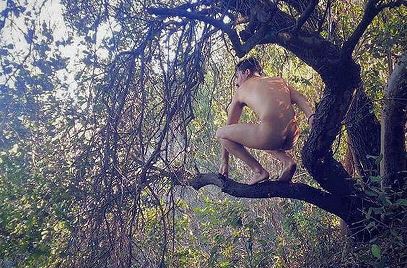 Der nackte Tarzan: Dieser junge Mann hat es sich in einem Baum gemütlich gemacht.