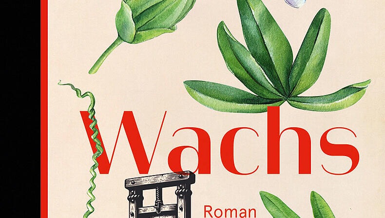 Christine Wunnickes Buch "Wachs".