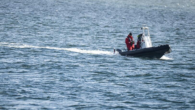 Die Polizei war auf der Ostsee unterwegs, um den Buckelwal zu betreuen.