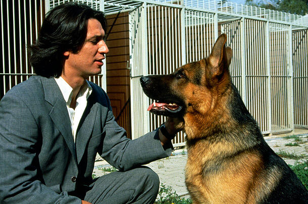 Der "erste" Kommissar Rex mit Tobias Moretti als Kriminalinspektor Richard Moser: Sein schlauer Polizei-Sch&auml;ferhund Rex wurde &uuml;ber die Jahre zur TV-Legende.