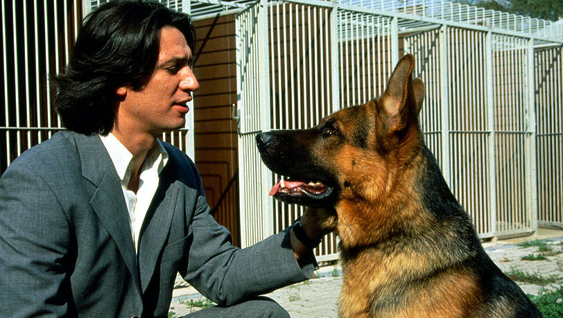 Der "erste" Kommissar Rex mit Tobias Moretti als Kriminalinspektor Richard Moser: Sein schlauer Polizei-Sch&auml;ferhund Rex wurde &uuml;ber die Jahre zur TV-Legende.