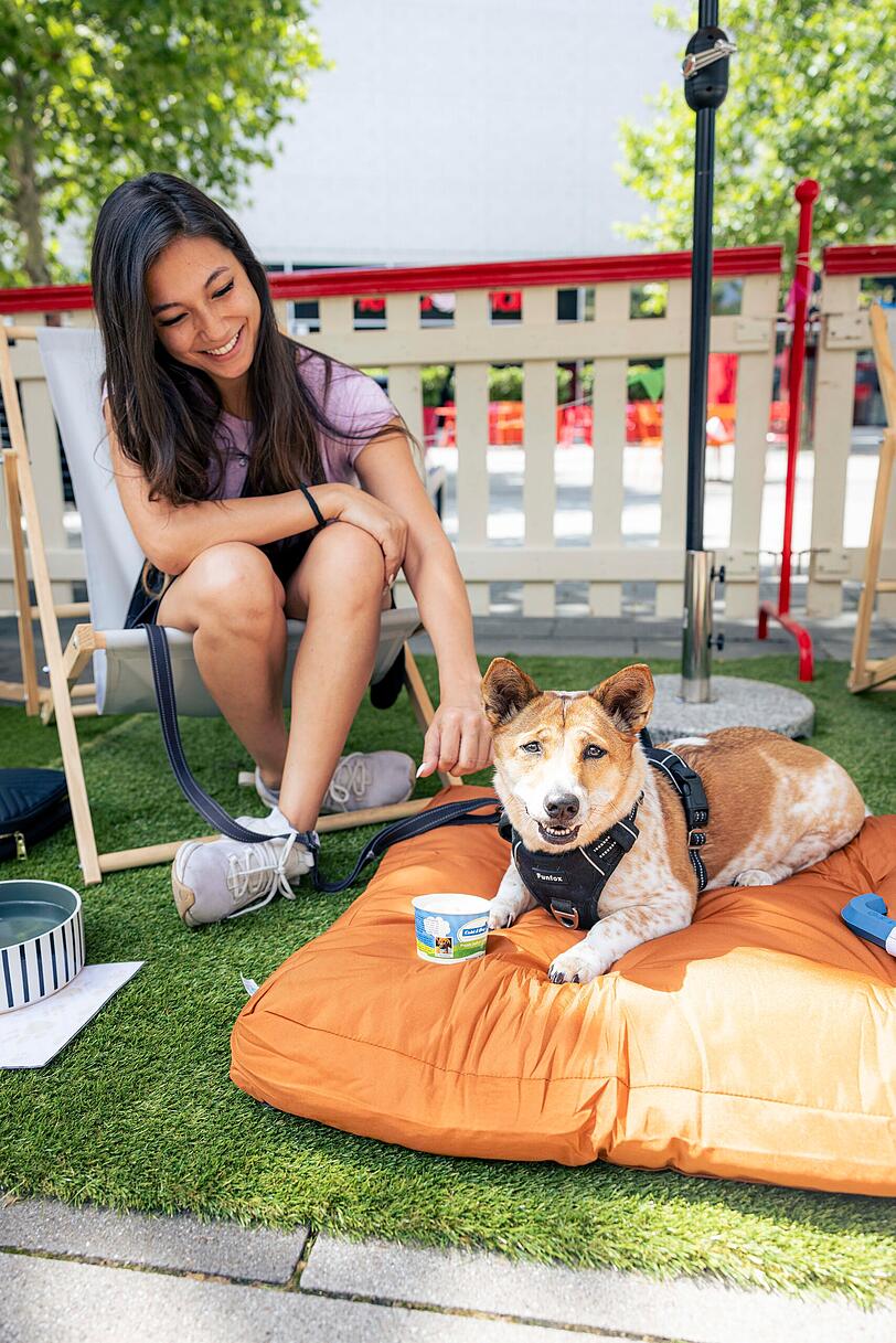 Tanjas Mischling Daisy durfte in der Chill-Out-Area ein Hunde-Eis probieren. Tanjas Mischling Daisy durfte in der Chill-Out-Area ein Hunde-Eis probieren.