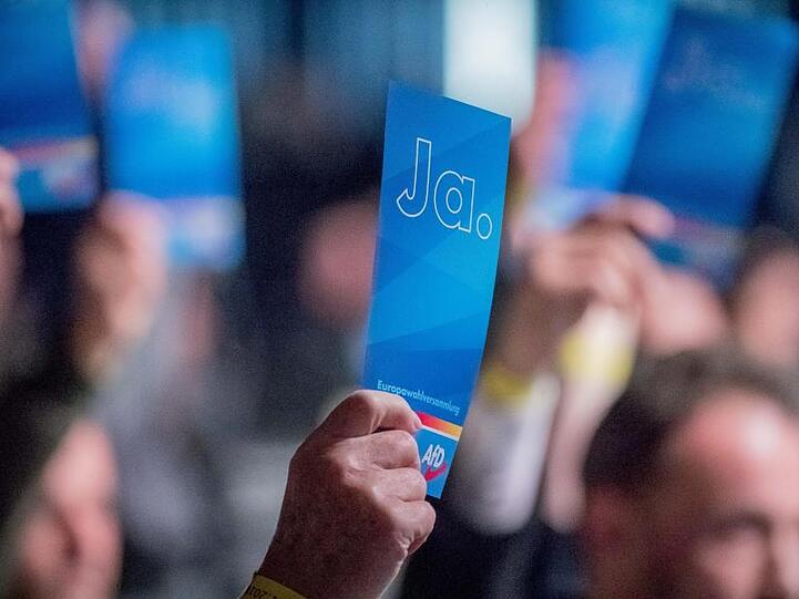 Die AfD-Delegierten wollen bis Montag 40 Kandidaten für die Europawahl im kommenden Mai bestimmen.