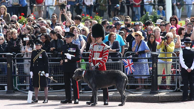Zahlreiche Zuschauer warten auf die Royals und den Beginn der Parade.