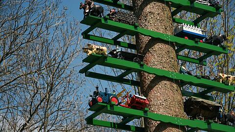 Der Maibaum der Obermenzinger Burschen wird heuer im Naturzustand mit Rinde aufgestellt.