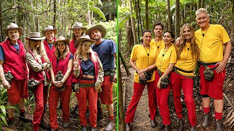 Ob sich die Dschungelcamper auf die anstehenden Pr&uuml;fungen freuen?