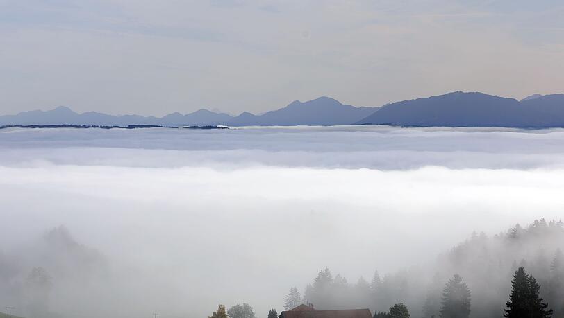 Am Wochenende ist mit viel Nebel im Freistaat zu rechnen. (Symbolbild) Am Wochenende ist mit viel Nebel im Freistaat zu rechnen. (Symbolbild)