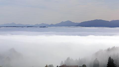 Am Wochenende ist mit viel Nebel im Freistaat zu rechnen. (Symbolbild)