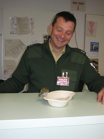 Hier ist der kleine Vogel noch munter. Das Tier stirbt an seinen Verletzungen während der Behandlung der Tierretung, wie die Polizei berichtet.