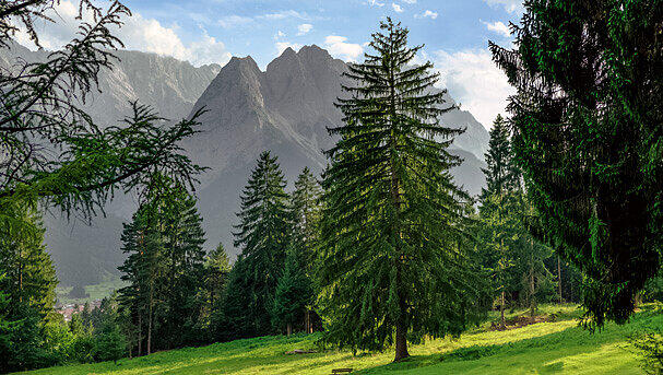 So schön ist die Aussicht von der Kriegergedächtniskapelle am Kramerplateauweg auf die Berge.